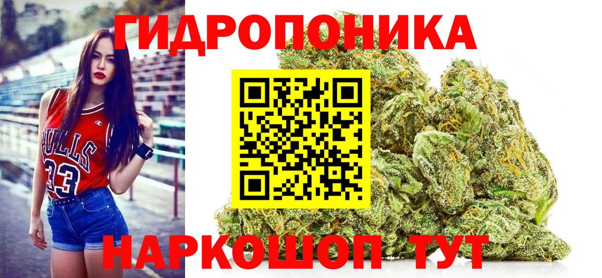 Канабис White Widow Нарткала
